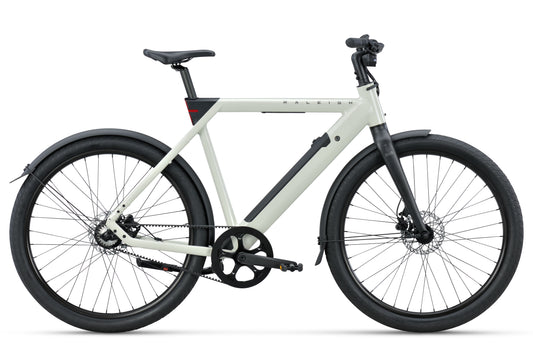 RALEIGH- RALEIGH ONE E-BIKE