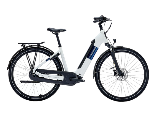 RALEIGH MOTUS HUB GEAR Low-Step 2026